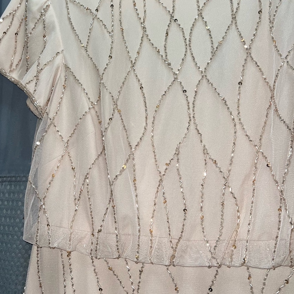 Adrianna Papell Blush Pink Gown - Picture 11 of 15
